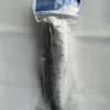 BLUE WHALE FOOD - FROZEN CLEANED SNAKEHEAD HEADLESS 500GR UP (CÁ LÓC LÀM SẠCH KHÔNG ĐẦU) 2 IMG 1356 scaled