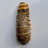 FROZEN LOBSTER TAILS BRAZIL SIZE 16/20 OZ PER KG (ĐUÔI TÔM HÙM BRAZIL) 2 062