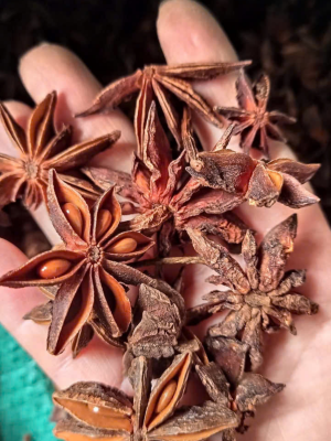 2 13