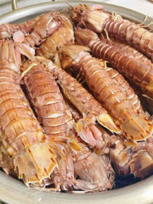 ELBE FOODIE - FROZEN MANTIS SHRIMP 1KG (TÔM TÍT NGUYÊN CON)